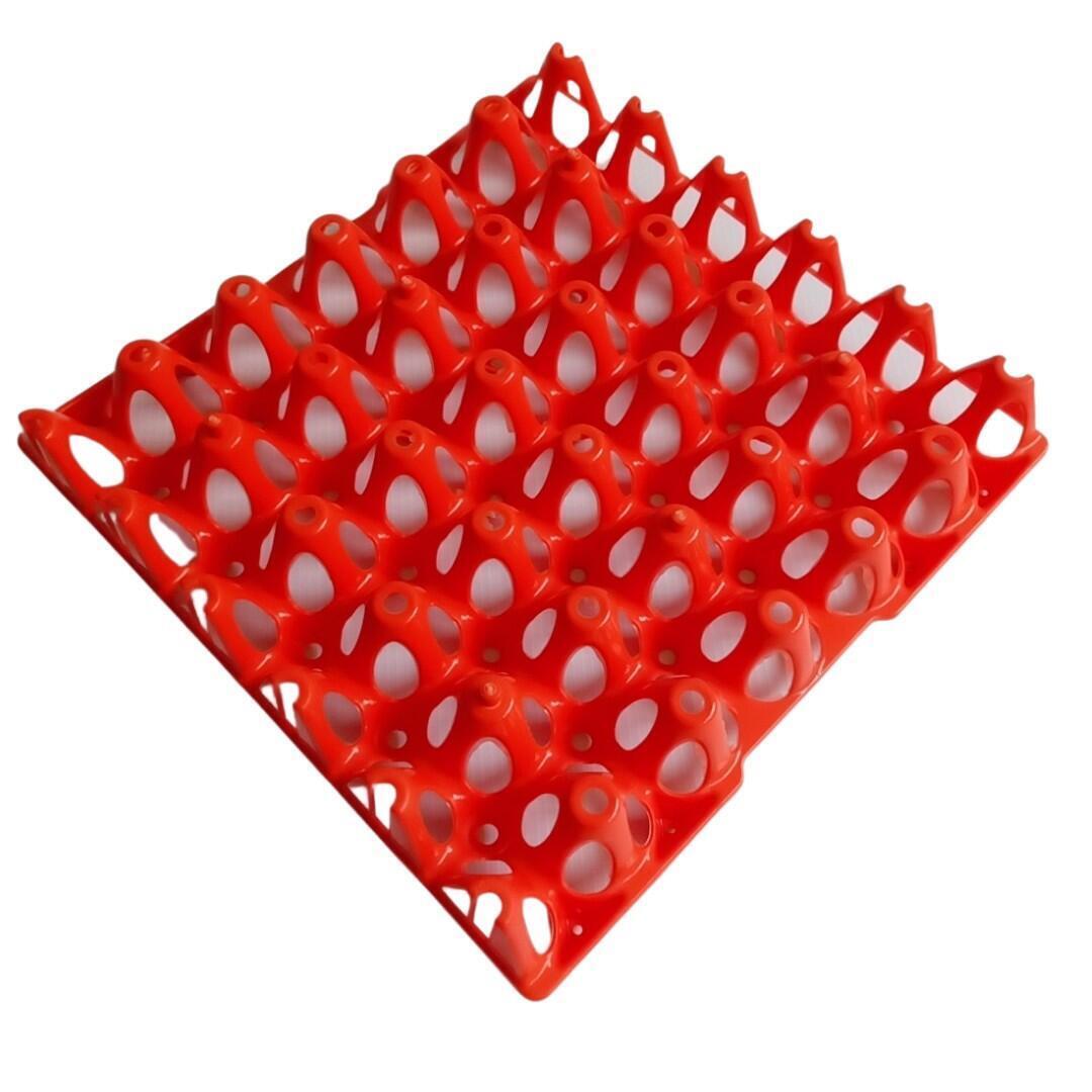 Imagen de Cubeta Bandeja De Plástico Para Huevos Plástica Incubadora