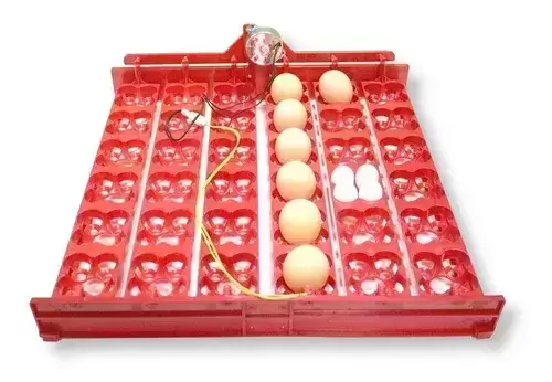 Imagen de Bandeja De Volteo Automático Incubadora 144 Huevos Codorniz