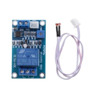 Sensor Iluminación Fotocelda Con Rele Relé 5v